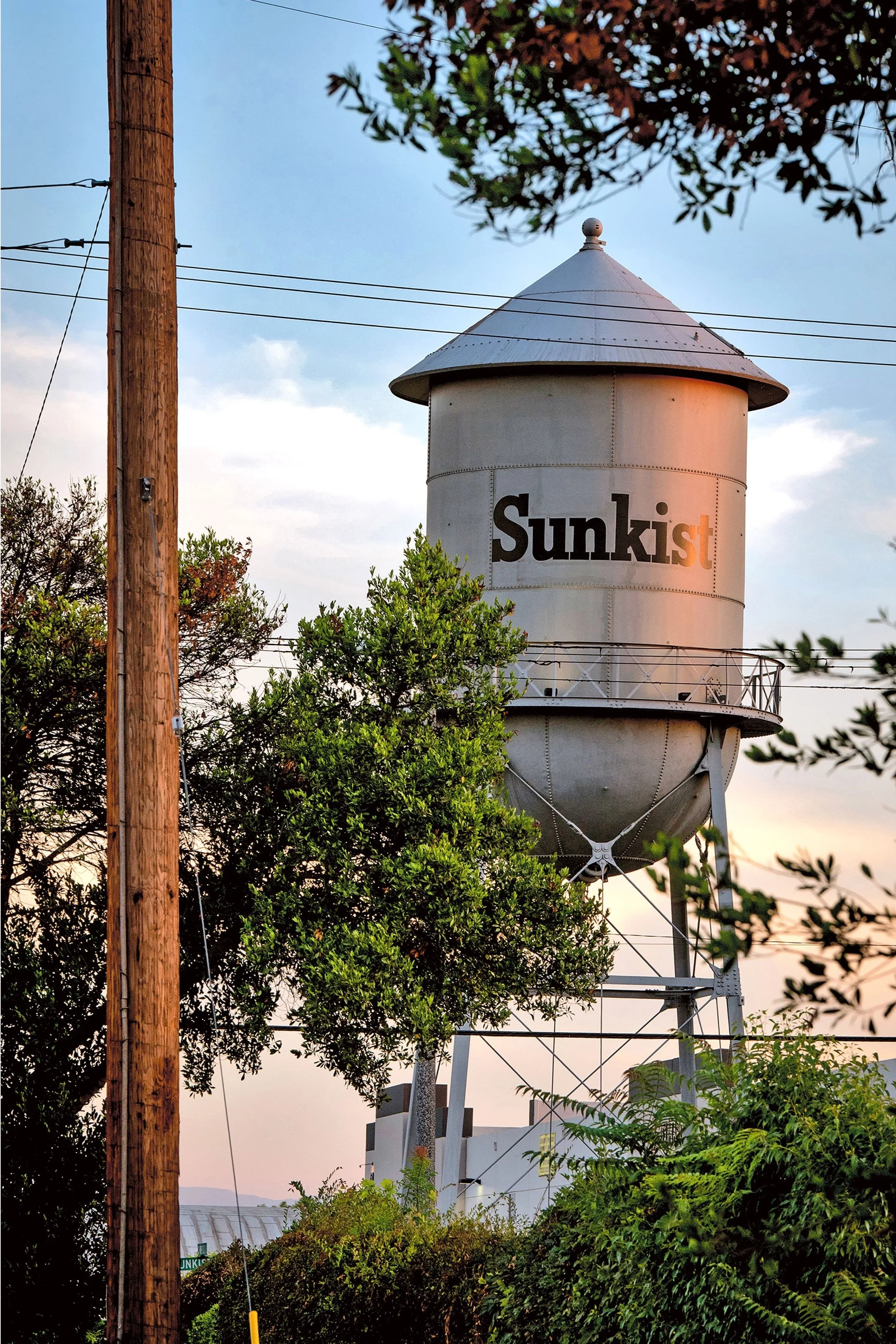 A water tower with the word 'Sunkist' written on it, partly obscured by trees and a utility pole, against a sunset sky.