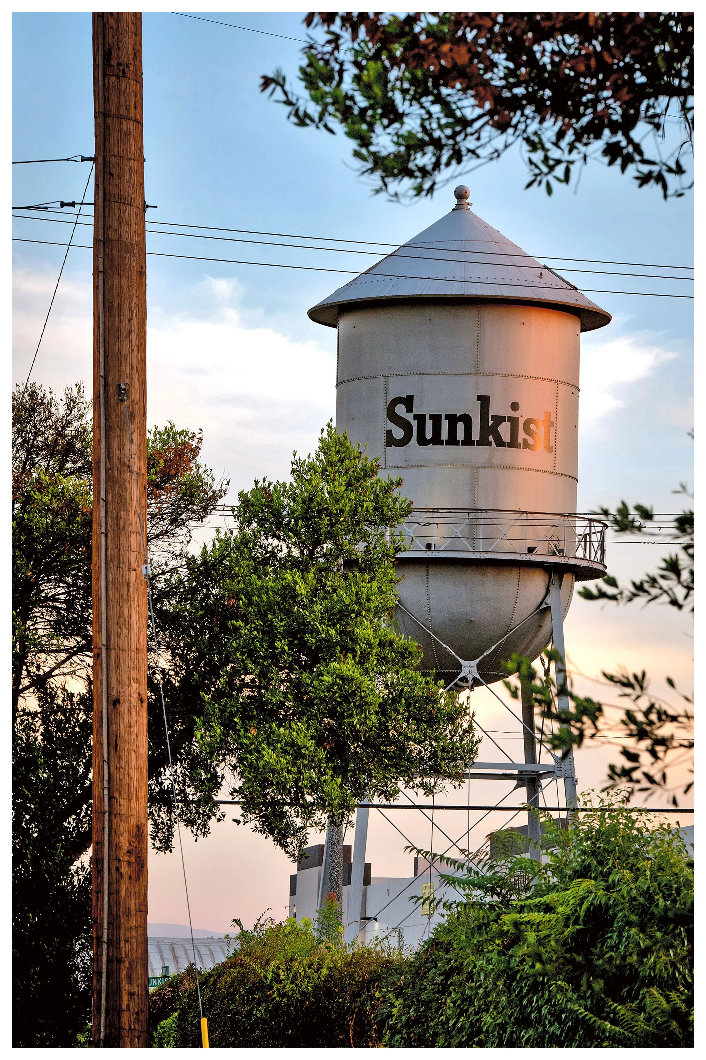 An outdoor metal water tower with the word 'Sunkist' painted on it, surrounded by trees and a utility pole with power lines during sunset.