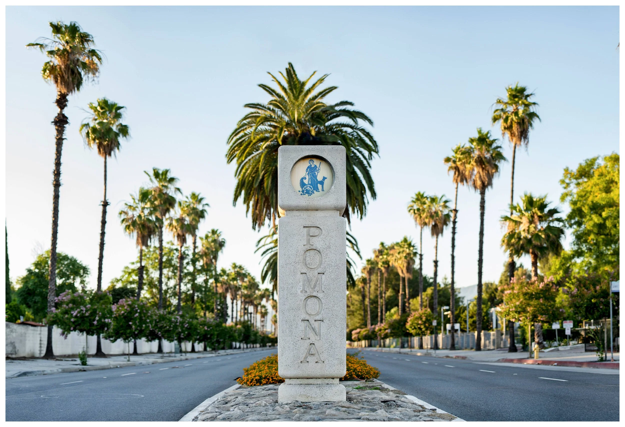 Street view of Pomona, California, with a sign in the center and rows of palm trees and flowering bushes along the sidewalk.