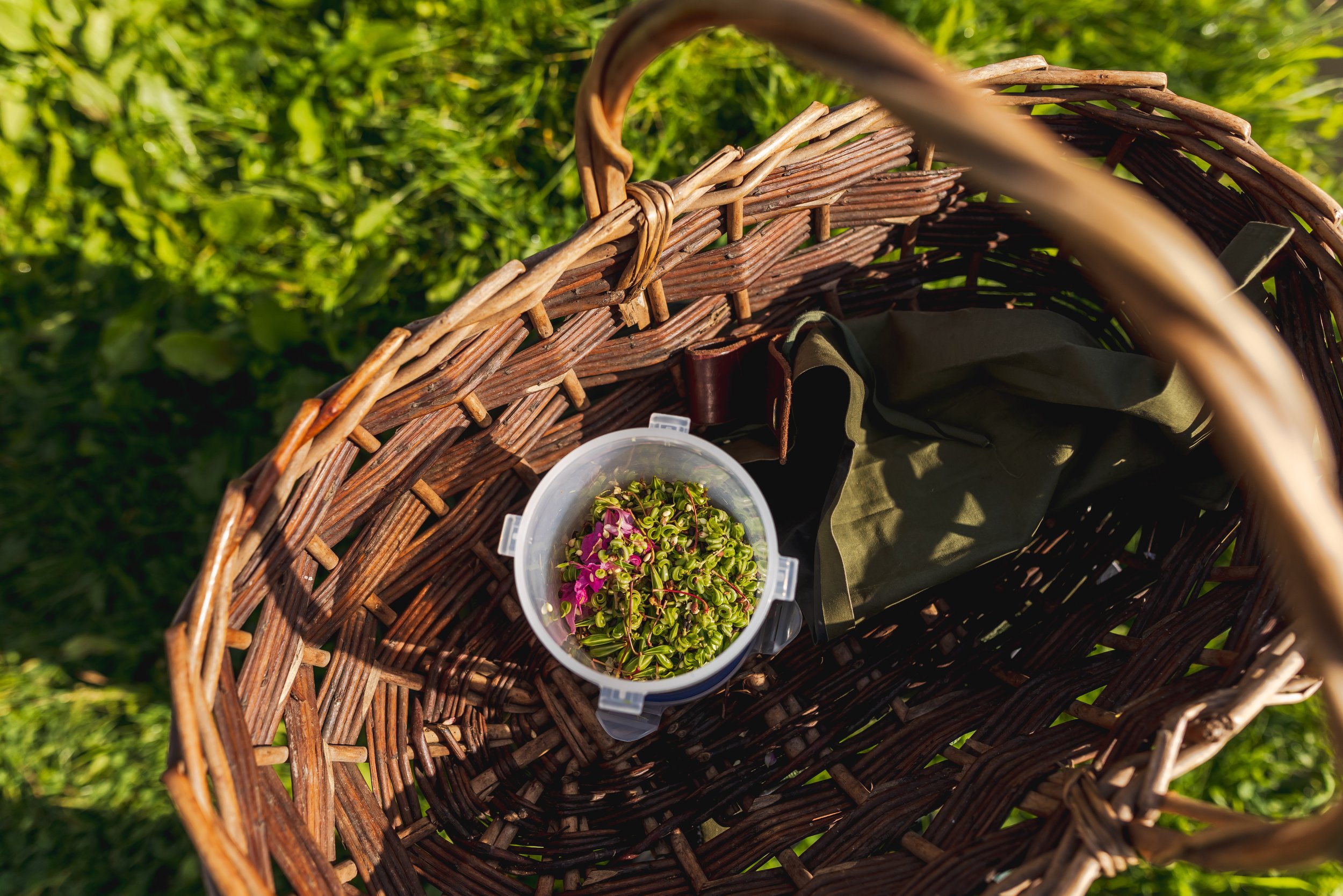2023-09-13-Forage-Box-80.jpg