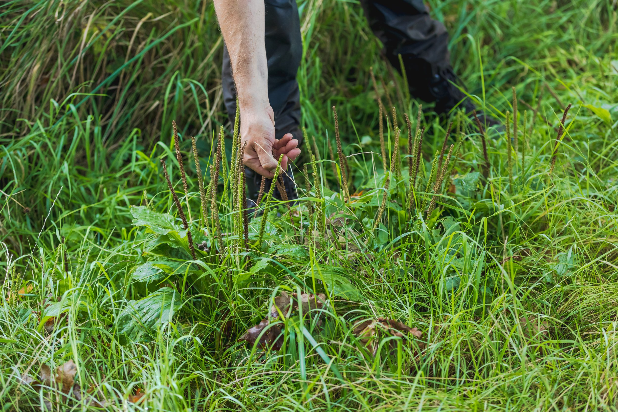 2023-09-13-Forage-Box-97.jpg
