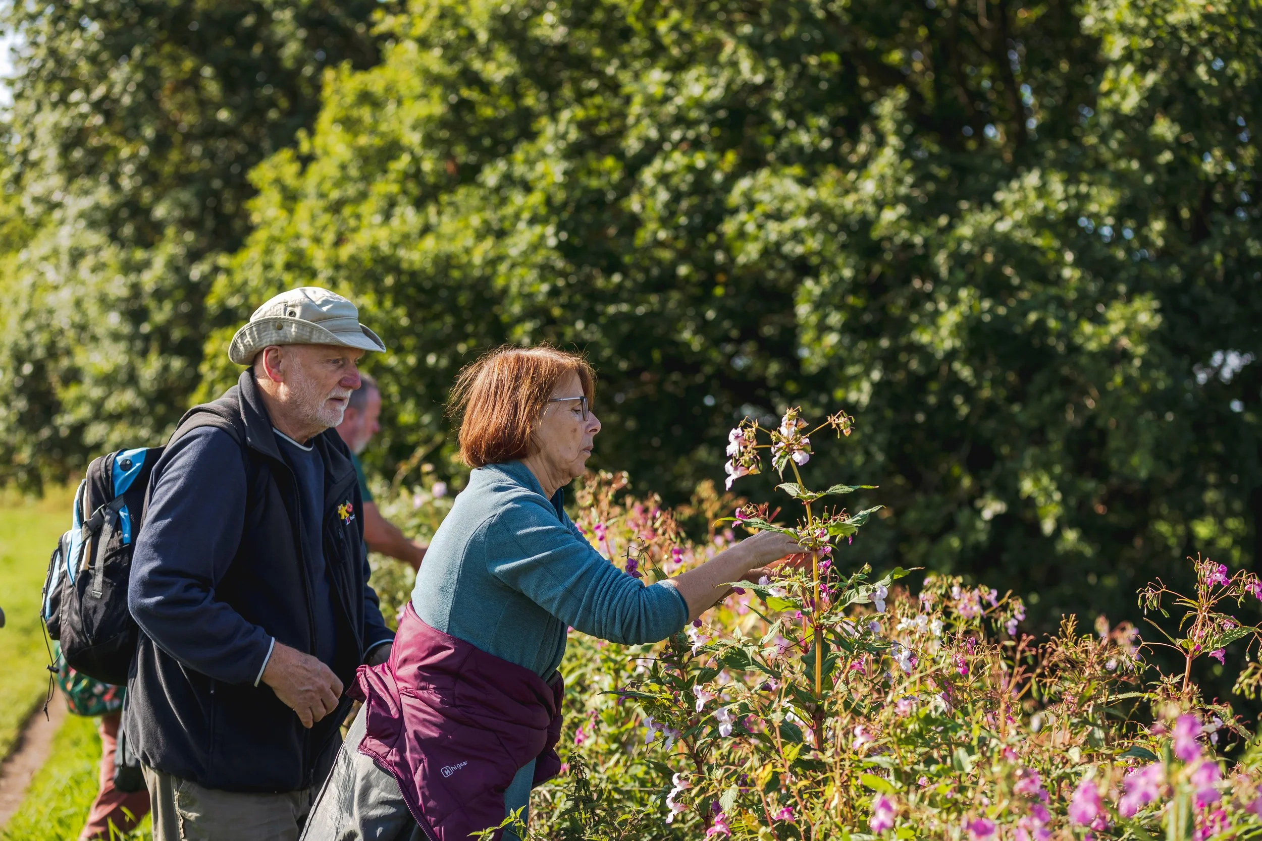2023-09-13-Forage-Box-148.jpg