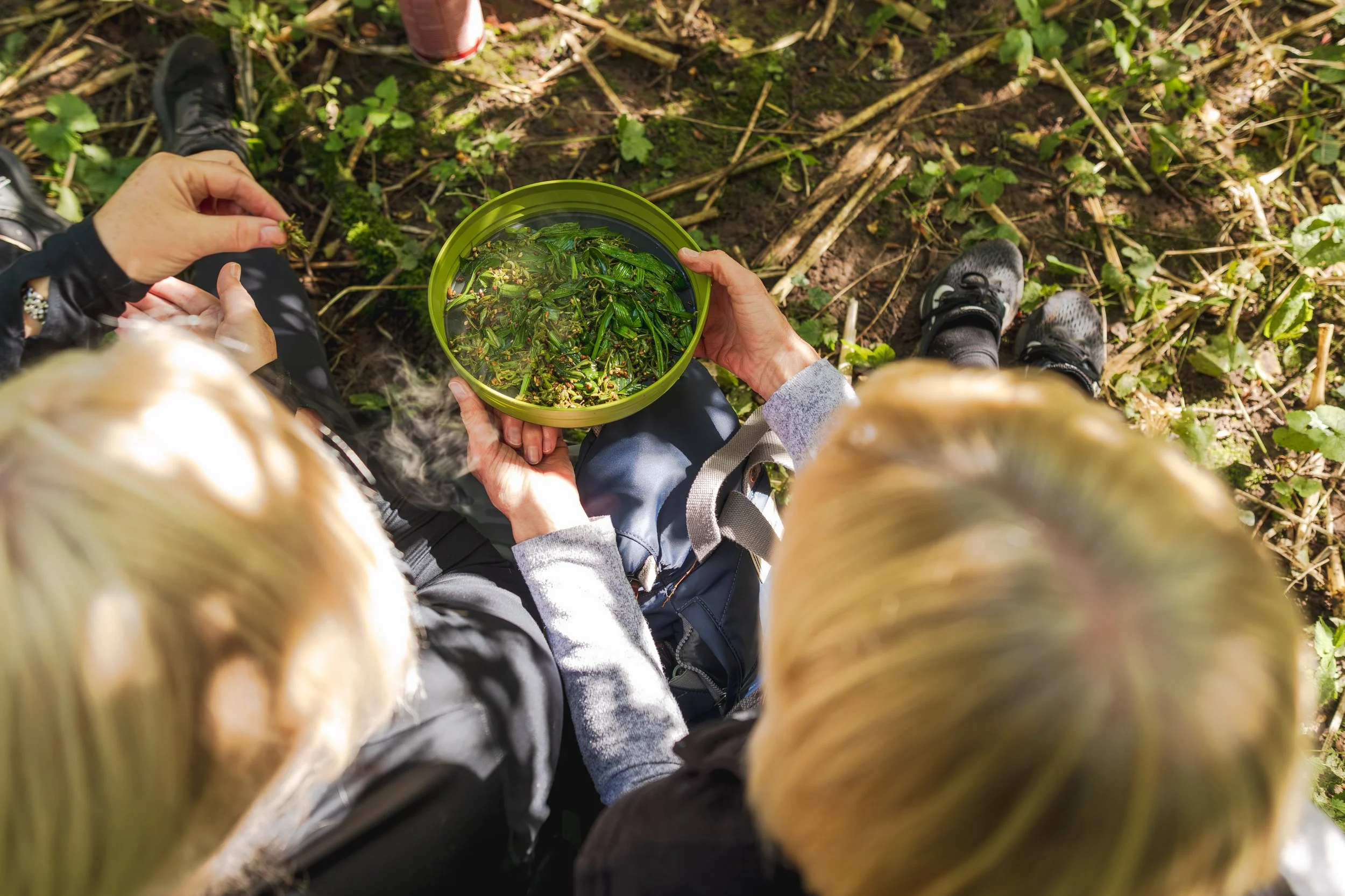 2023-09-13-Forage-Box-188.jpg