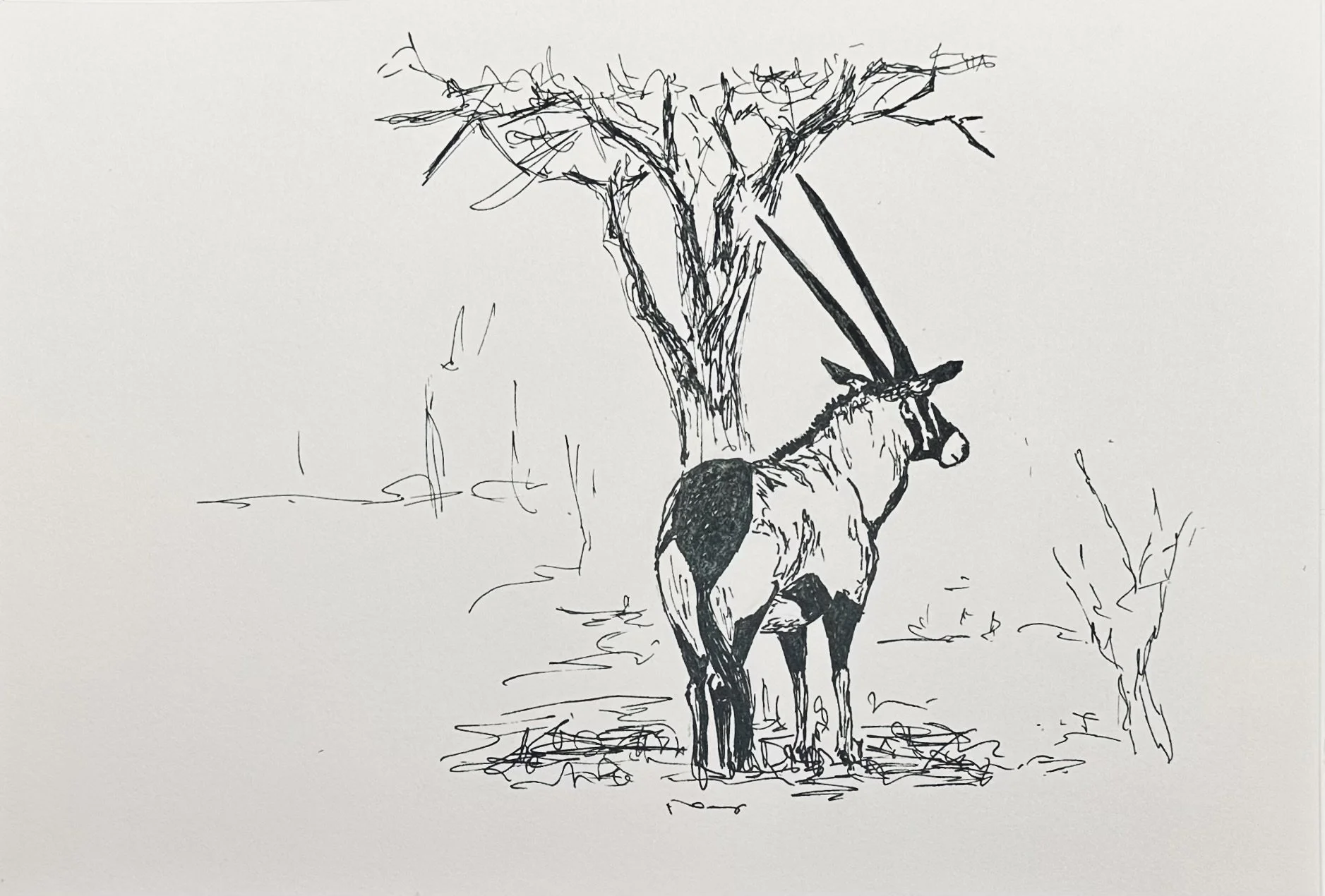 Namibia - Oryx
2025
Fineliner auf Papier 20 x 30 cm