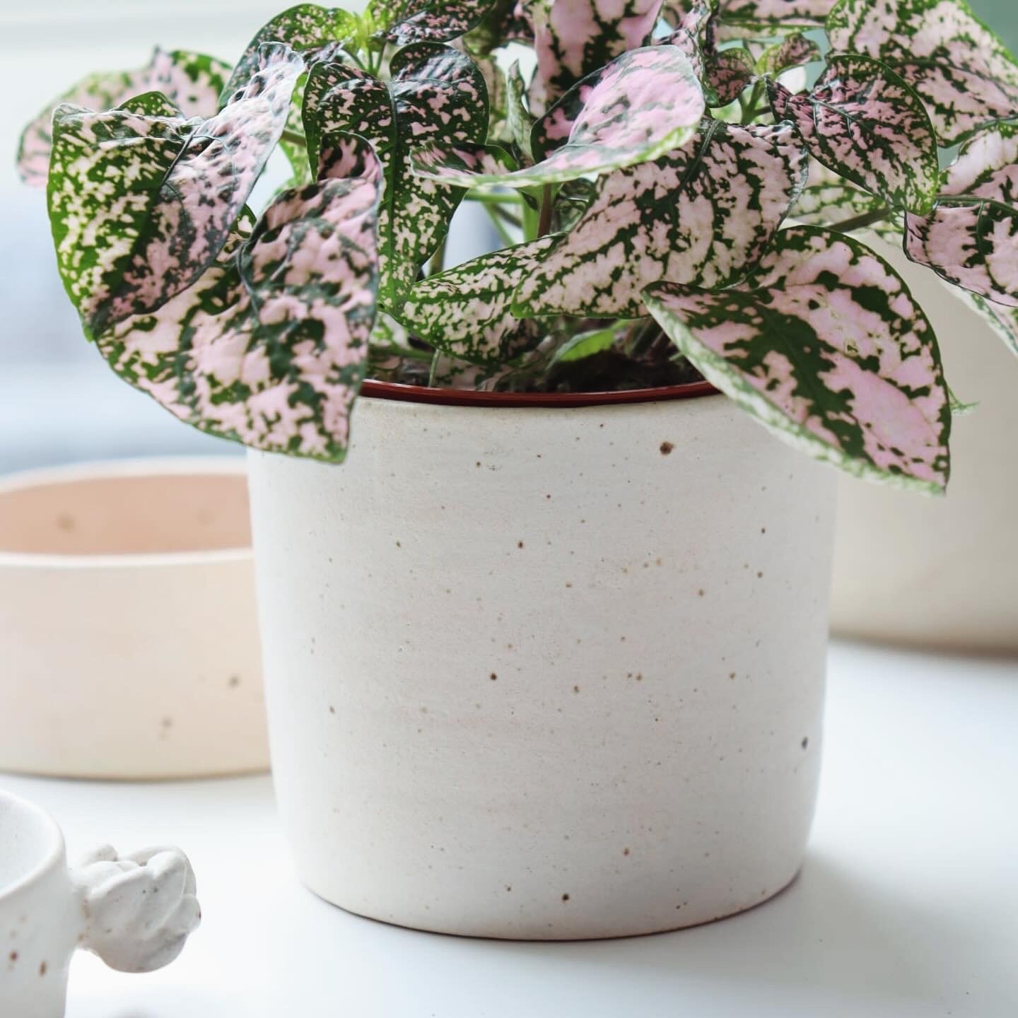 Mini Speckled Plant Pot