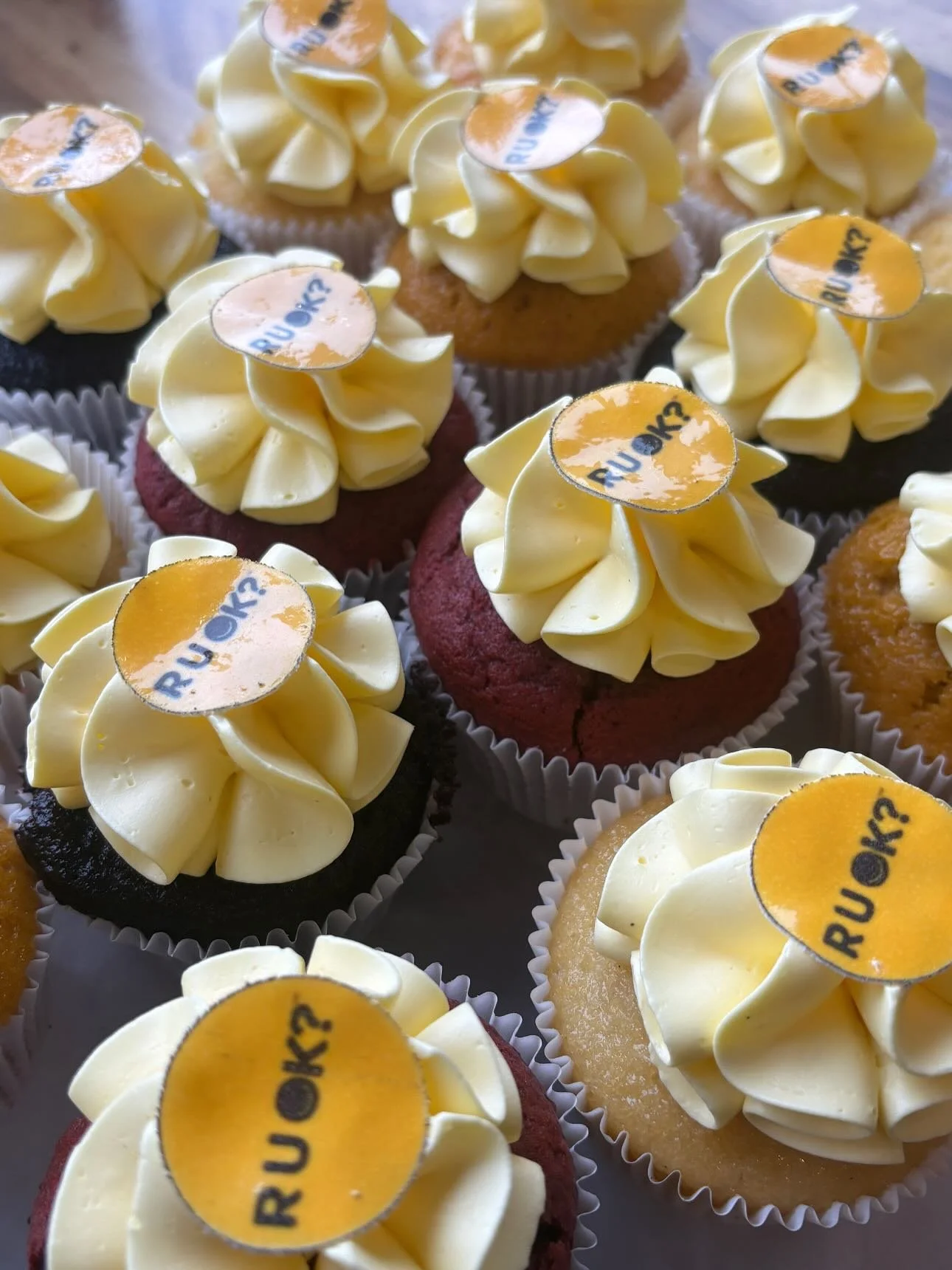 ARE YOU OKAY CUPCAKES ON SALE TODAY 💛 

September 11th is are you okay day! A little cupcake can start a big conversation. Join us to grab a yummy treat today!  Baked by @shetakesthecake_ 

#RUOKAYDAY #CUPCAKES #RUOKAYDAY2025