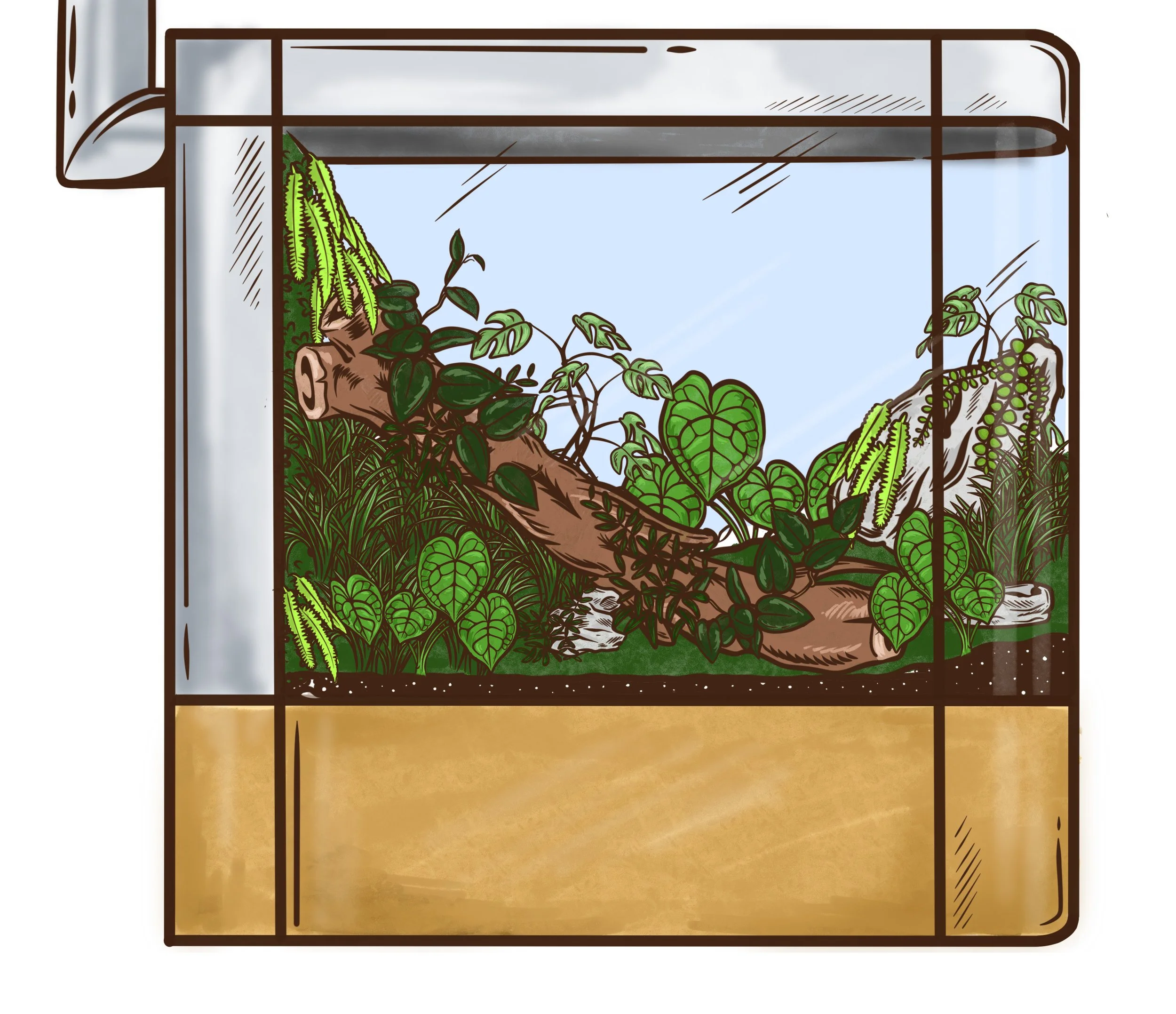 General 2 — Worcester Terrariums