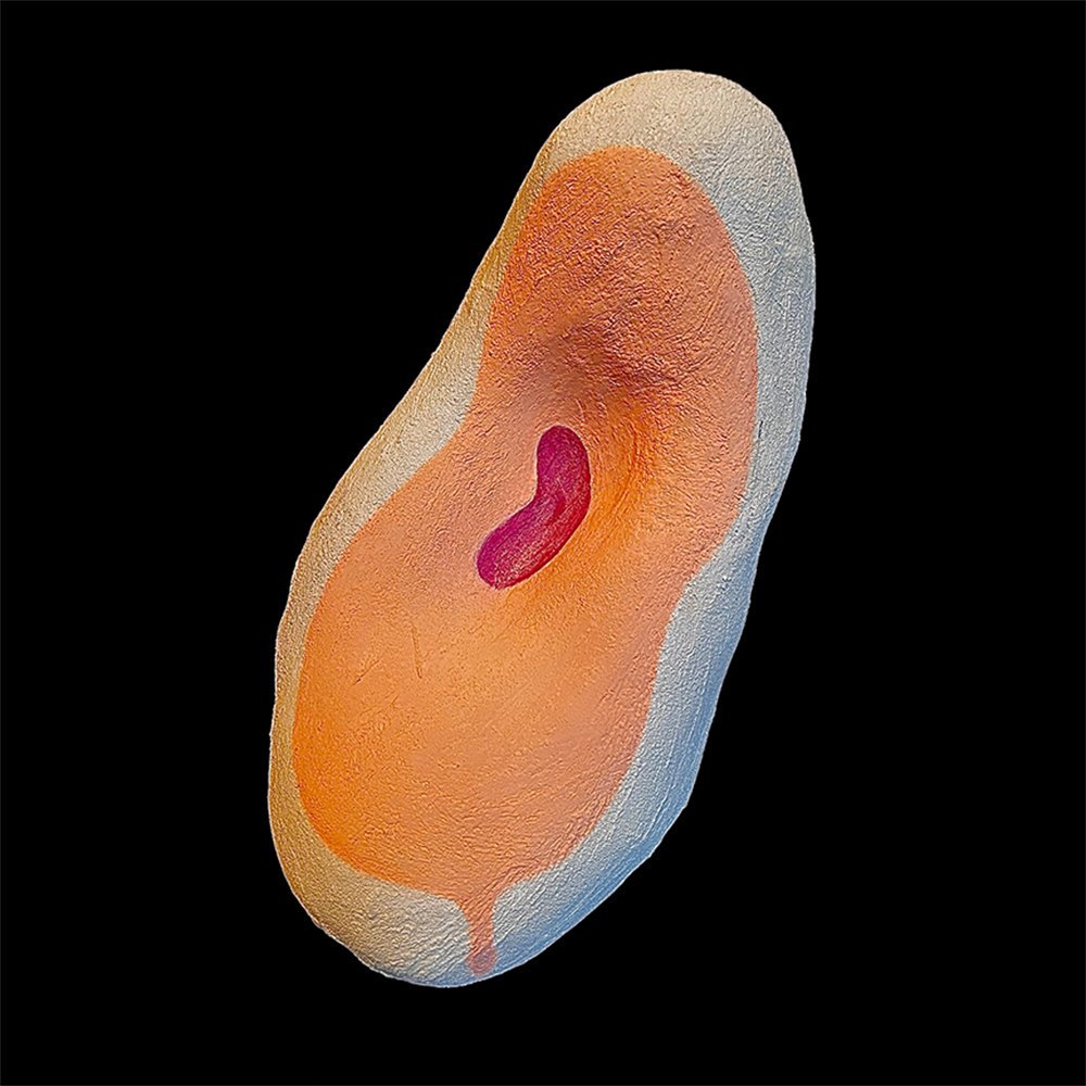 Drumm Corpuscle sq@2x.jpg