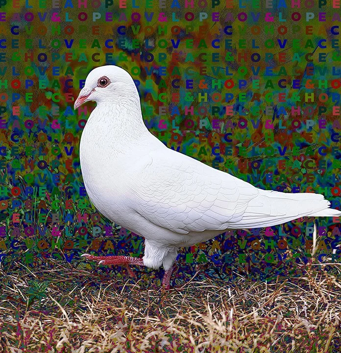 Blow_000007_748990_514331_17961.jpg