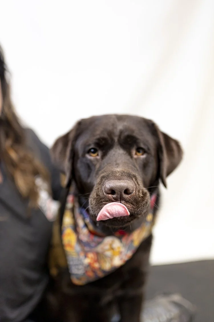 Its the Season of GIVING...Dog Food