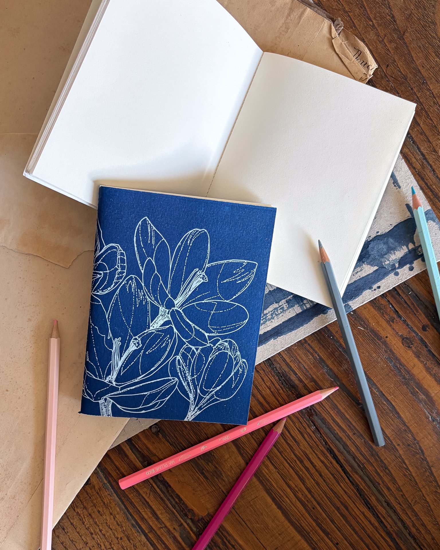 Carnet de croquis - Crocus