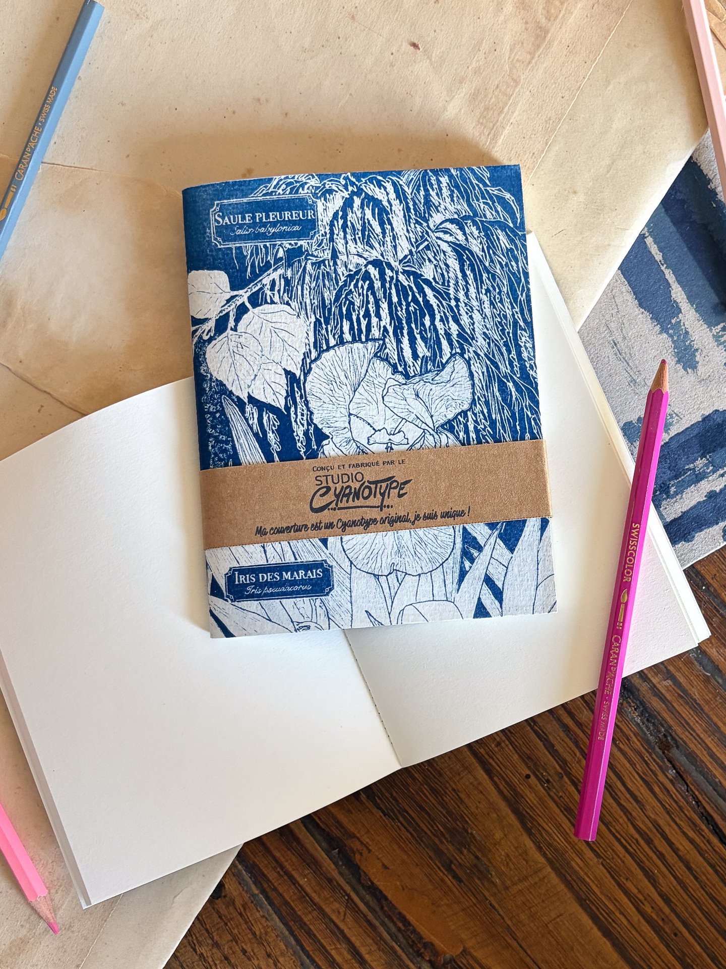 Carnet de croquis - Flore de la Marne
