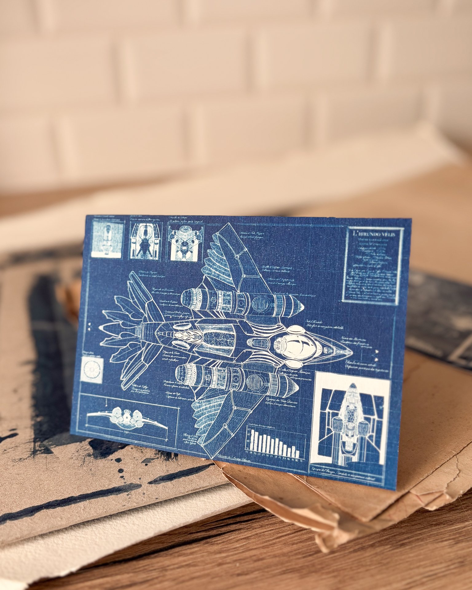 Mini Tirage Cyanotype : Hirundo Velis