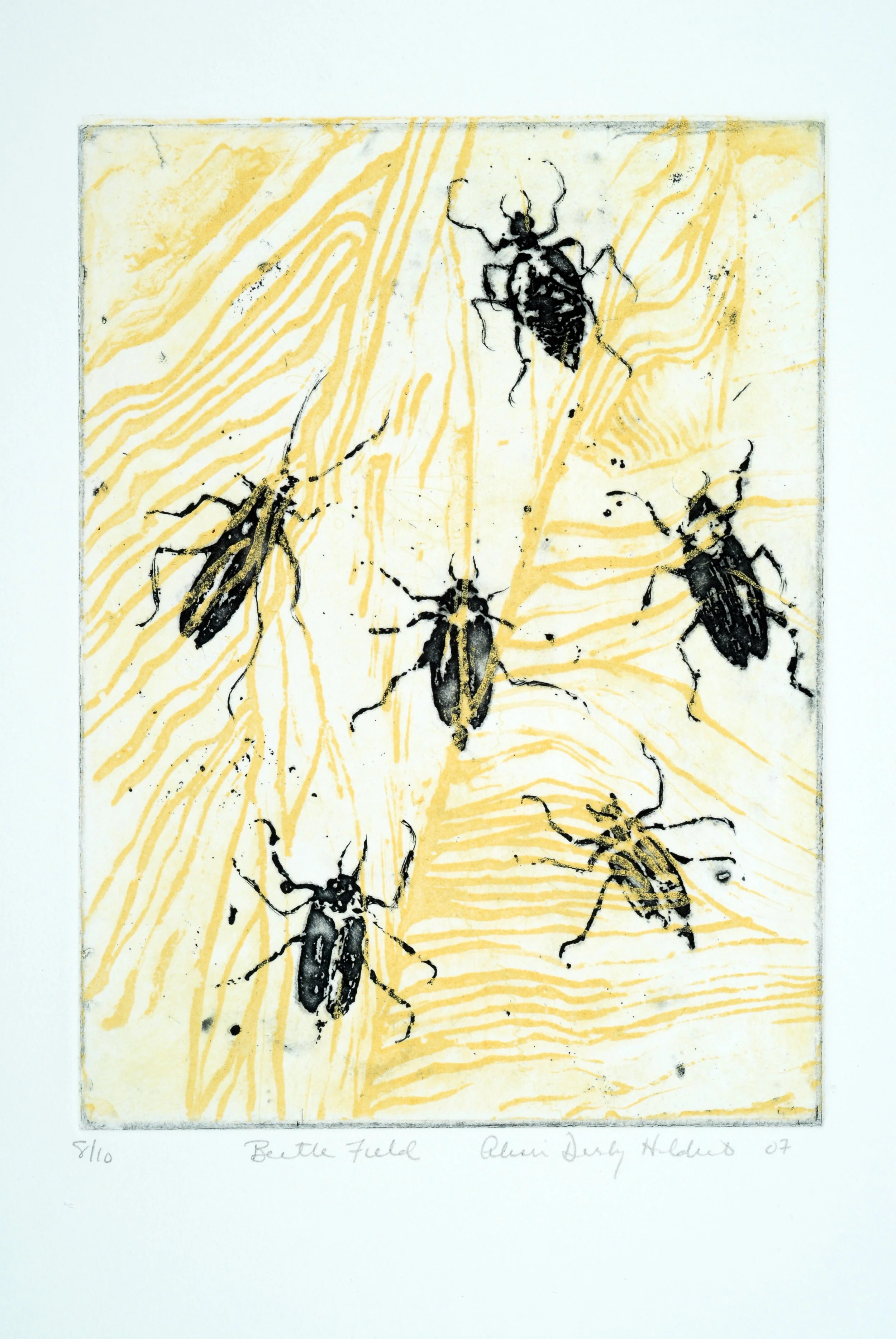 0015 Beetle Field, 8x6", 2007