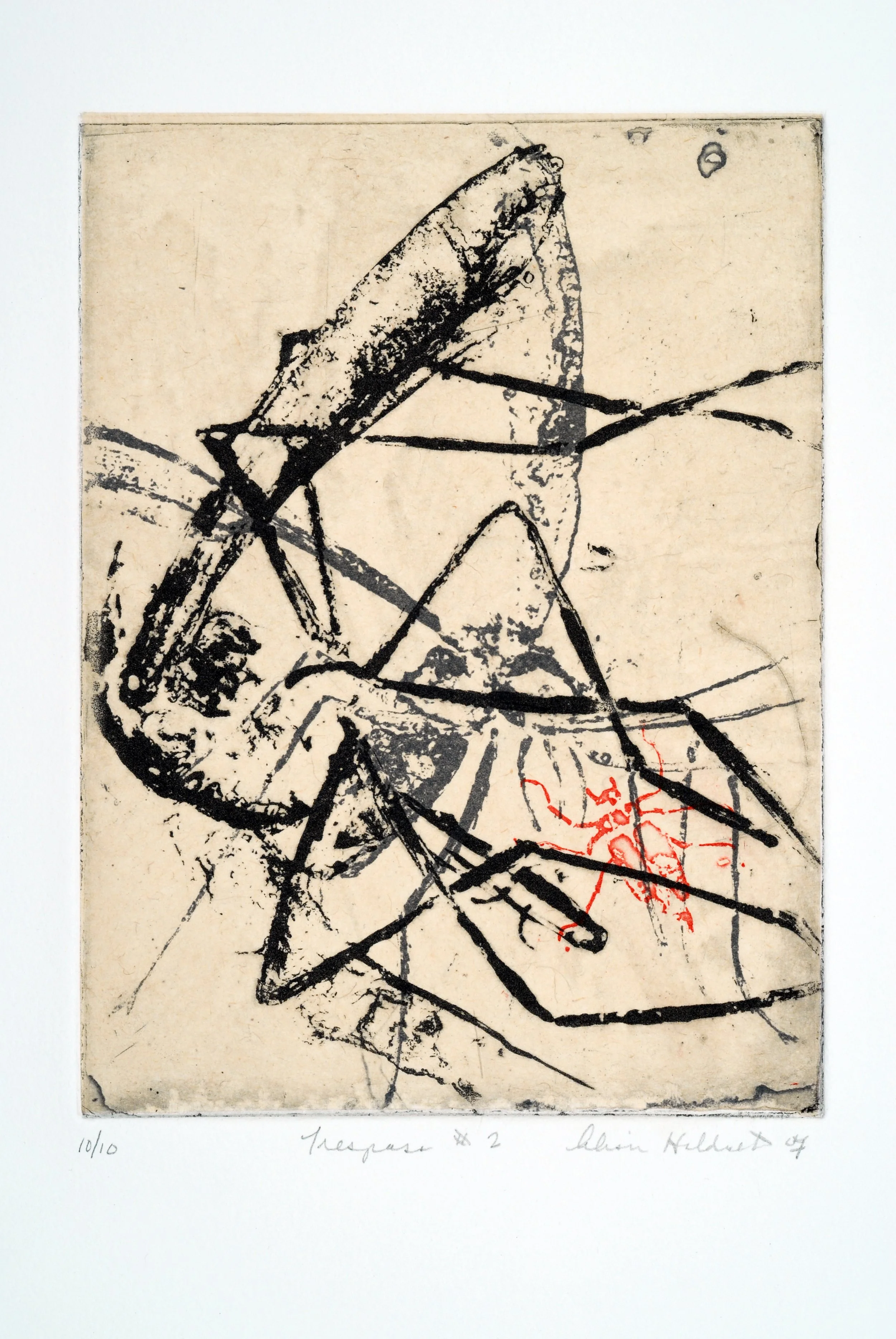 0017 Trespass#2, 8x6", 2007