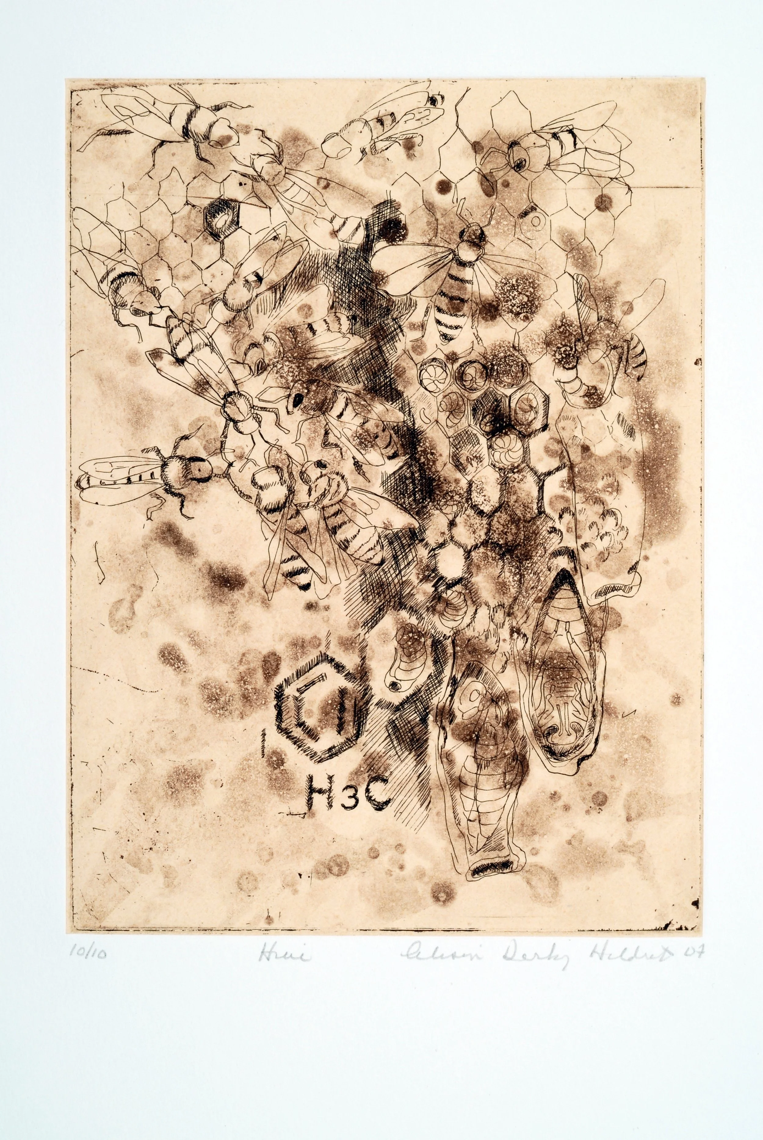 0012 Hive, 8x6", 2007