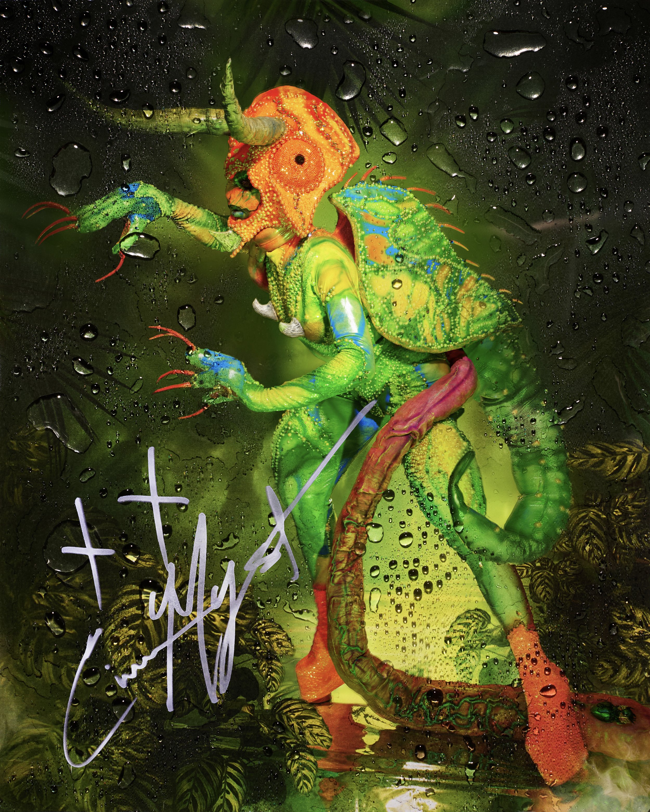 Animal Attraction - Signed Print