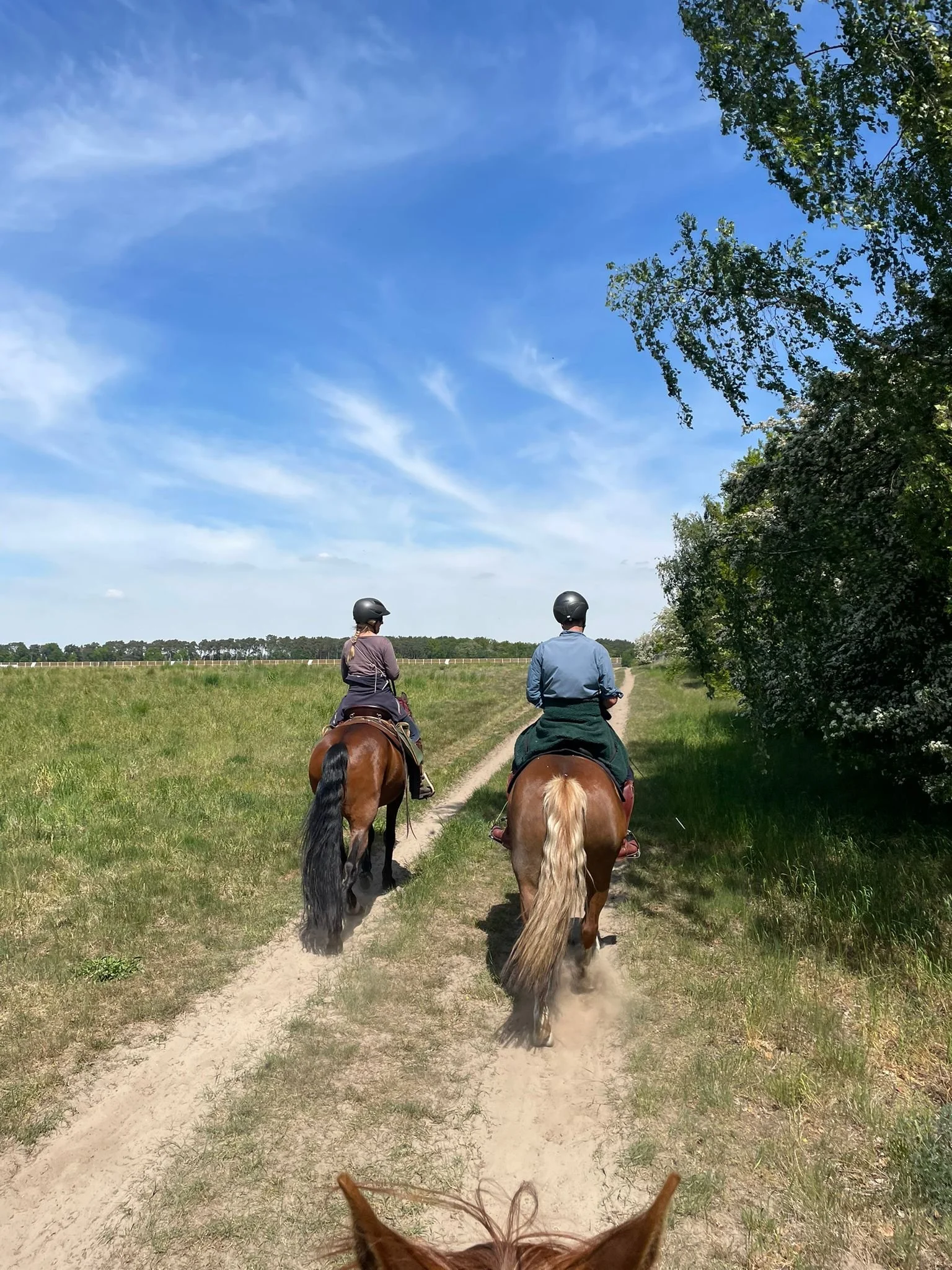 2 Tagesritt zu den Linumer Teiche