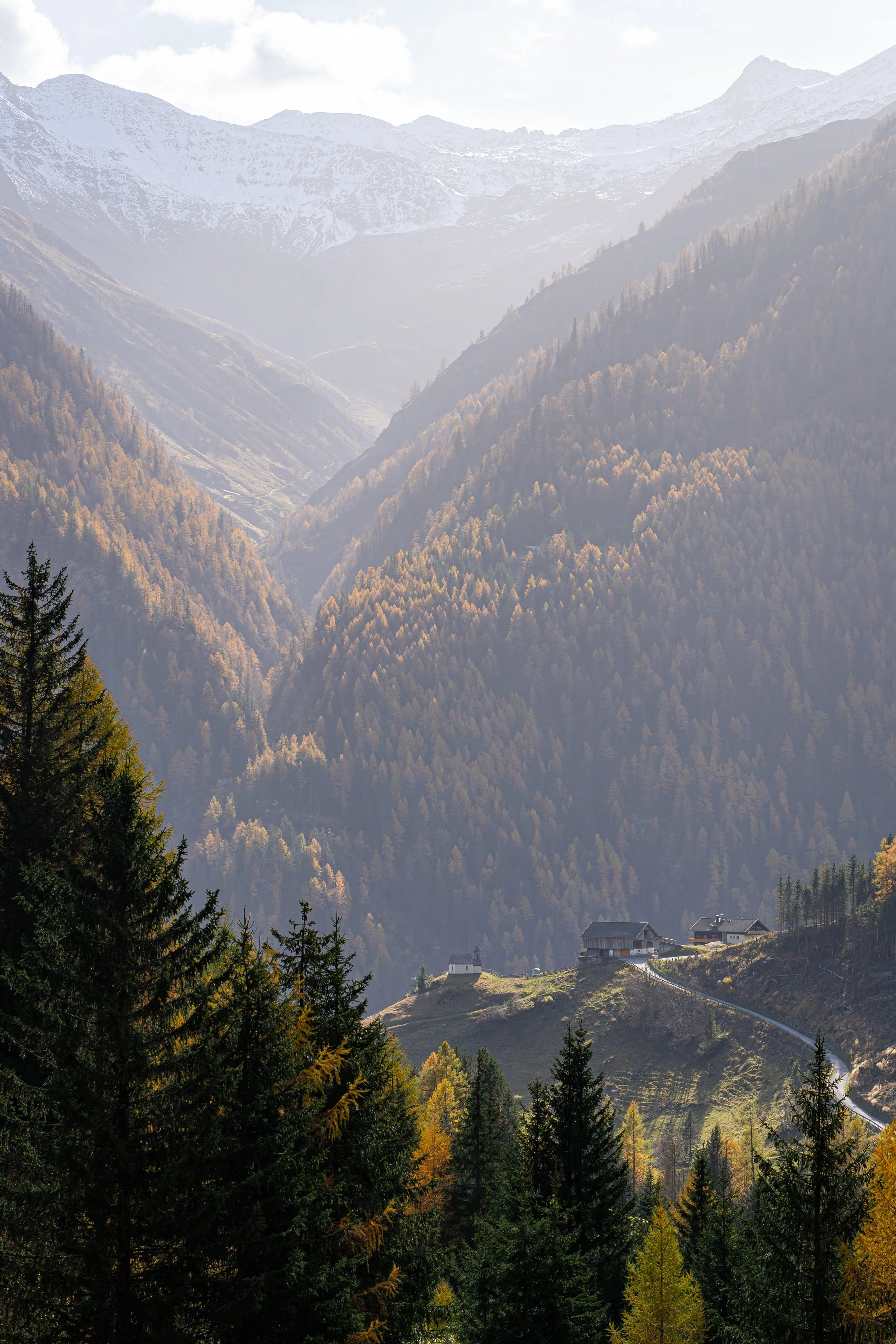 2022_10_29_Venediger_0027.jpg