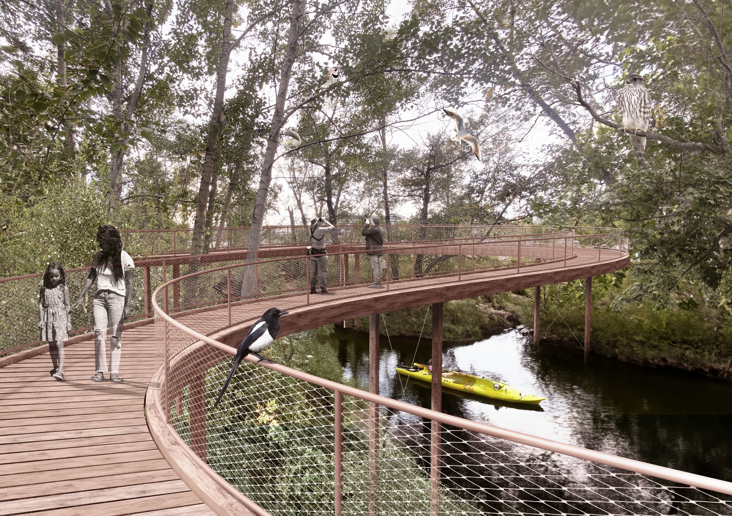 Forest Boardwalk Final.jpg