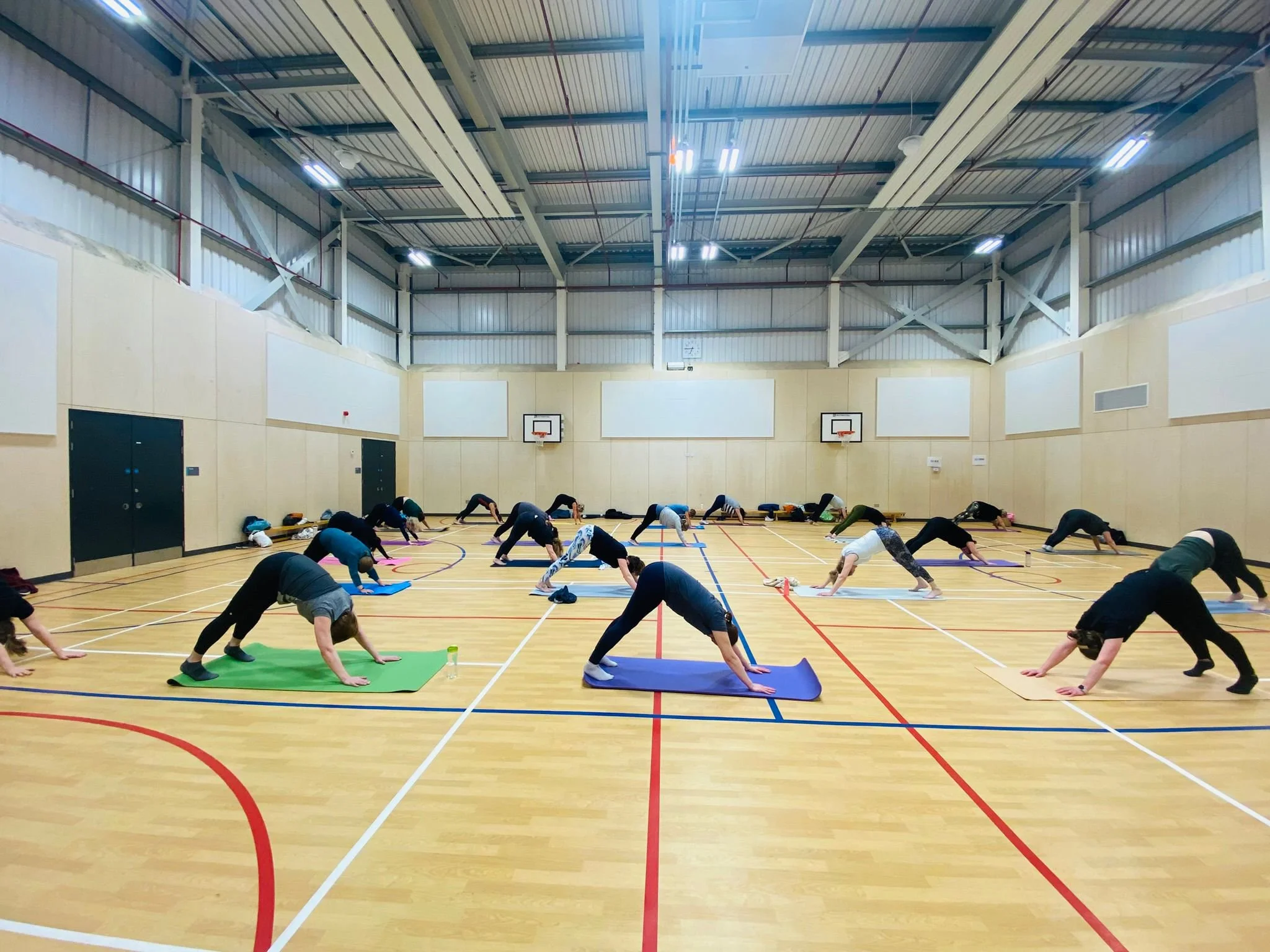 A group of people participating in a yoga class inside a gymnasium, practicing the downward dog pose on colorful mats.
