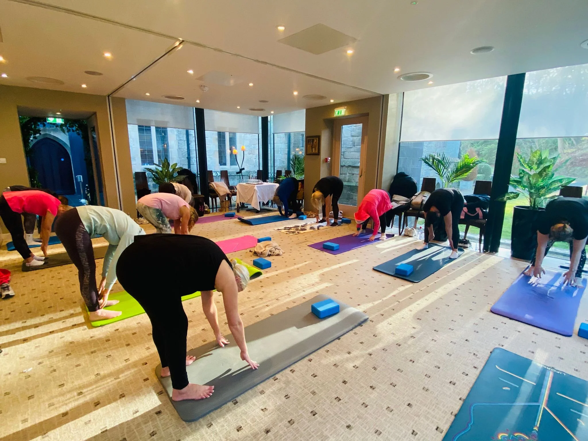 A group of people participating in a yoga class in a bright, spacious room with large windows and plants, all in a forward bend pose on yoga mats.