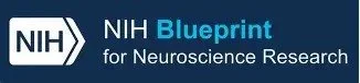UN&amp;UP Scientist, Nicholas Jensen participates in the 2026 NeuroTech Annual Workshop