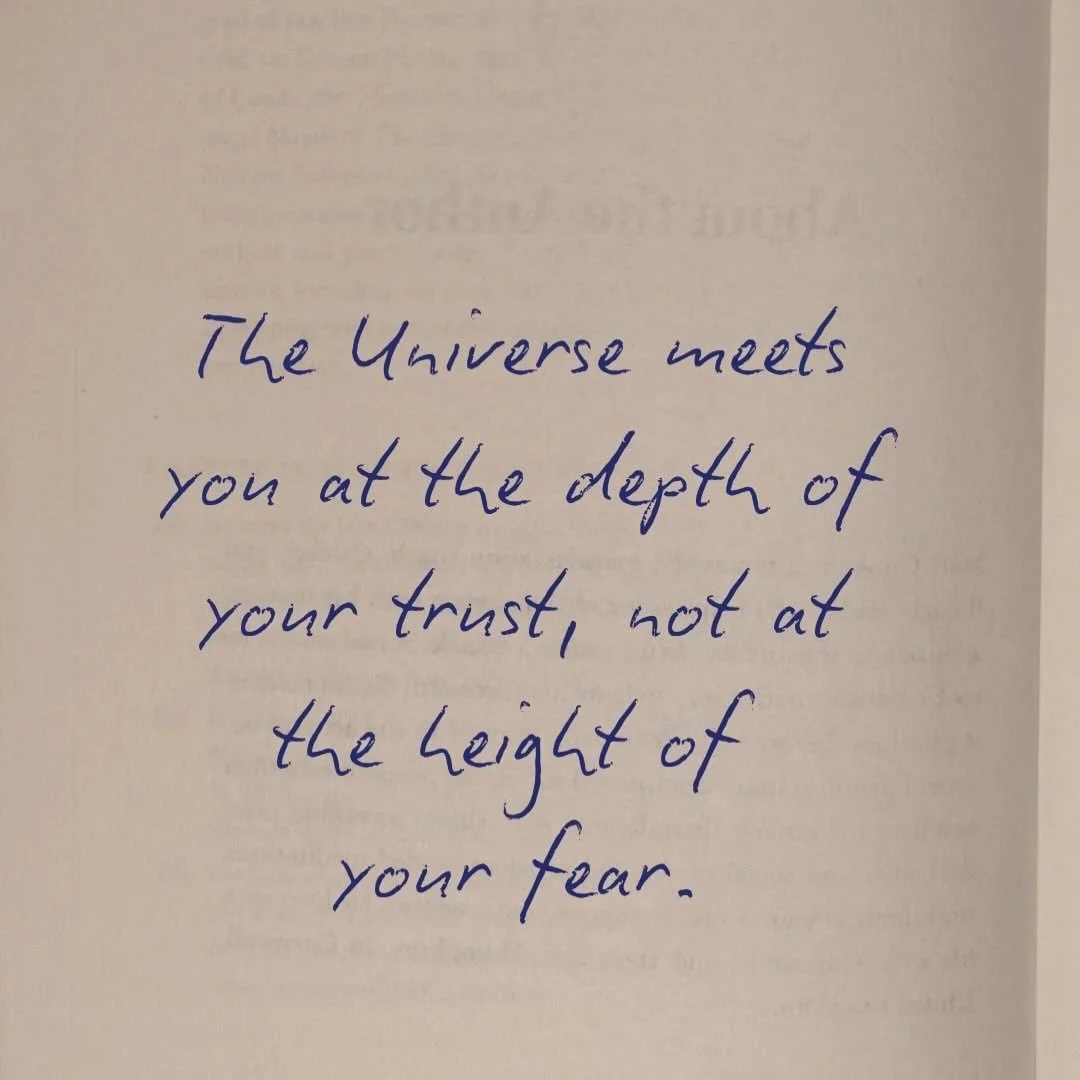 🌏&ldquo;the universe meets you at the depth of your trust, not at the height of your fear&rdquo;

📸: @mattcookecoach 

.
.
.
.
.
.
.
.
.
#jackieleecounseling #texastherapists #texasonlinecounseling #sanantoniomentalhealthcounselor #austinmentalheal