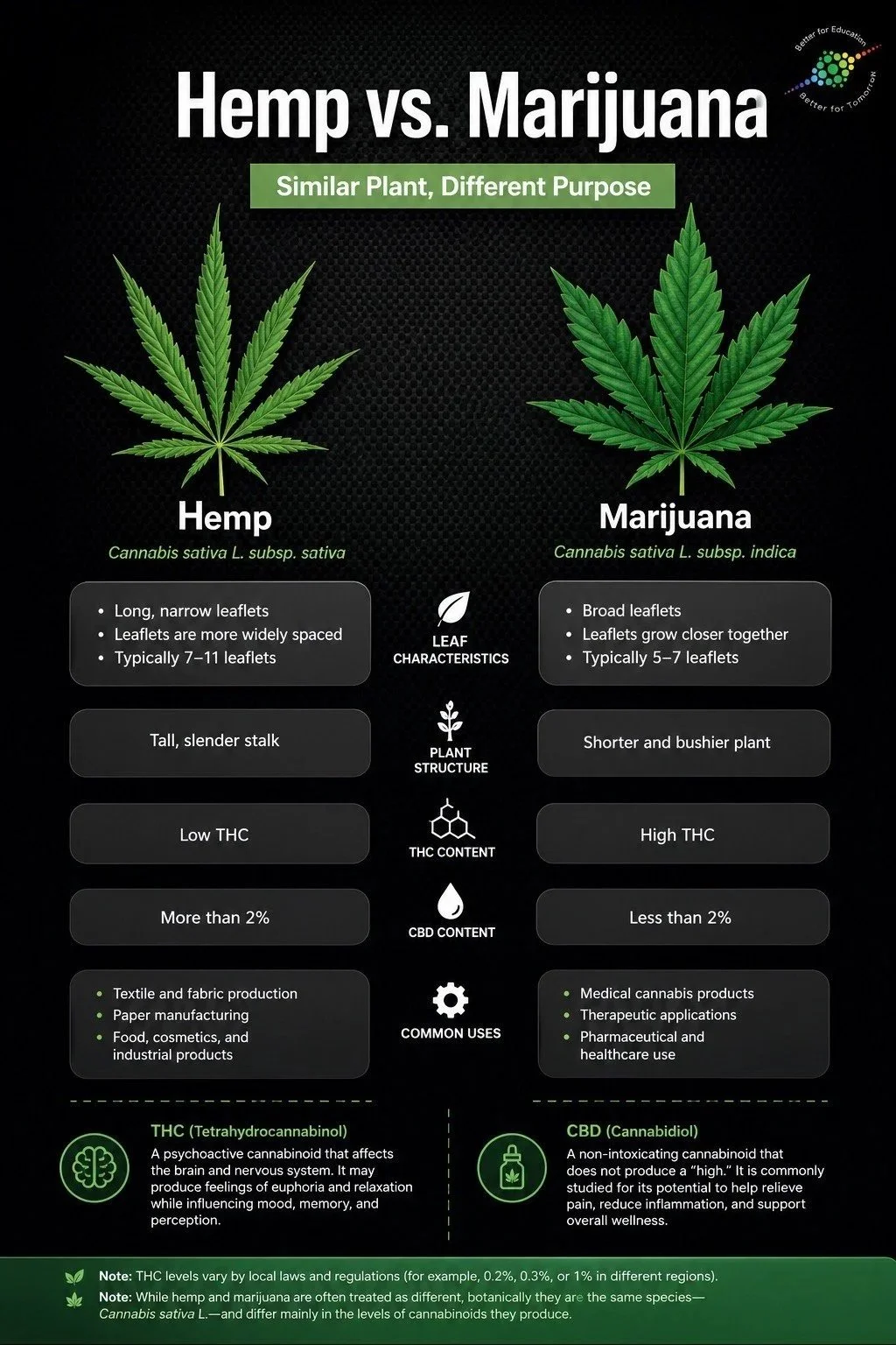 🌿 What Are Hemp vs. Marijuana: Understanding the Difference