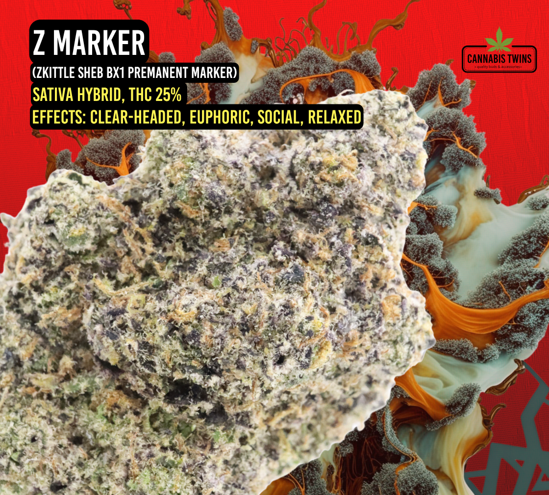 Zkittle Sheb BX1 Premanent (1).png