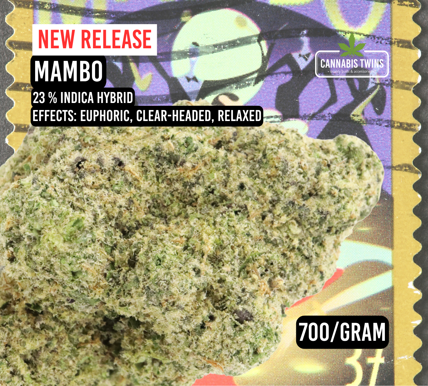 MAMBO (1).png