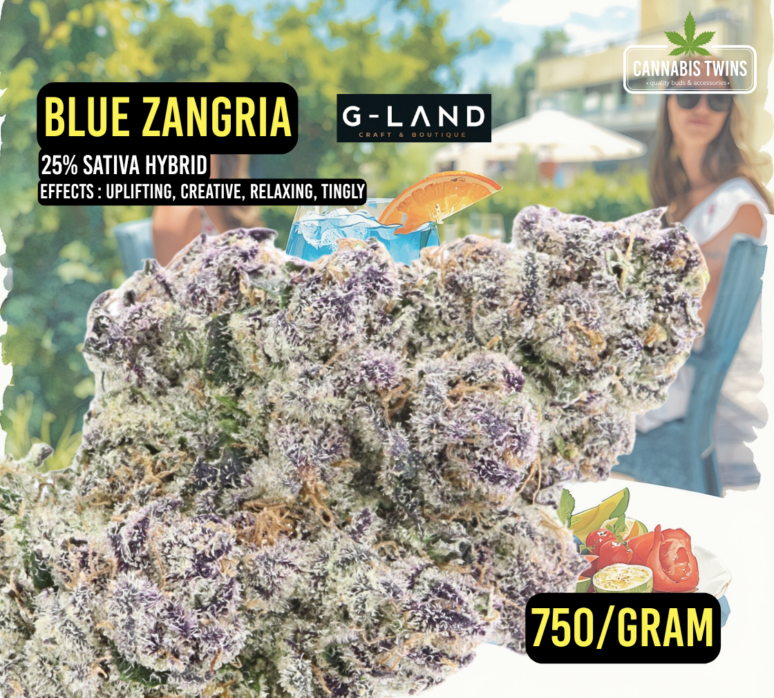 blue zangria.png