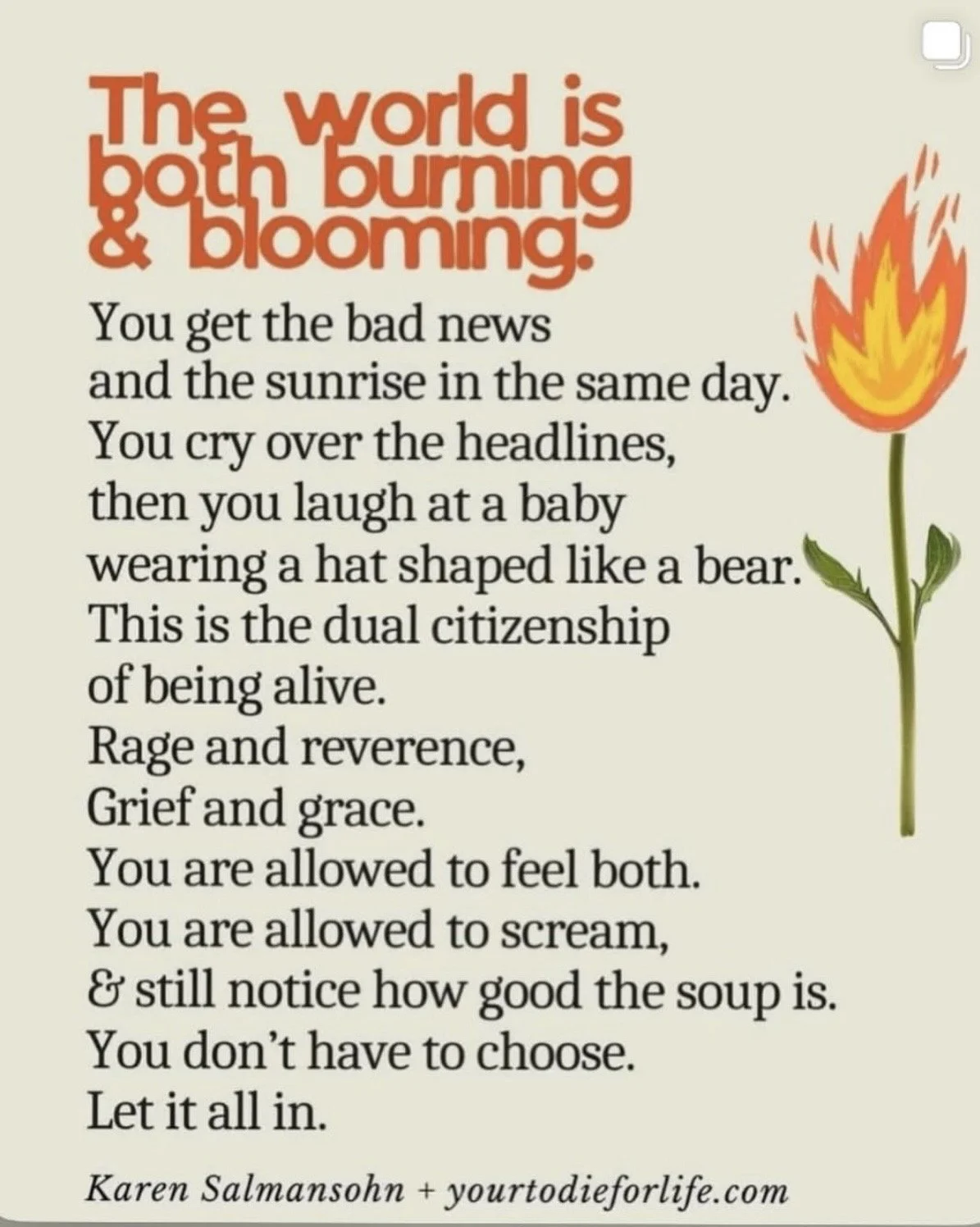 An Unhinged Guide to Finding Joy While the World Is on Fire