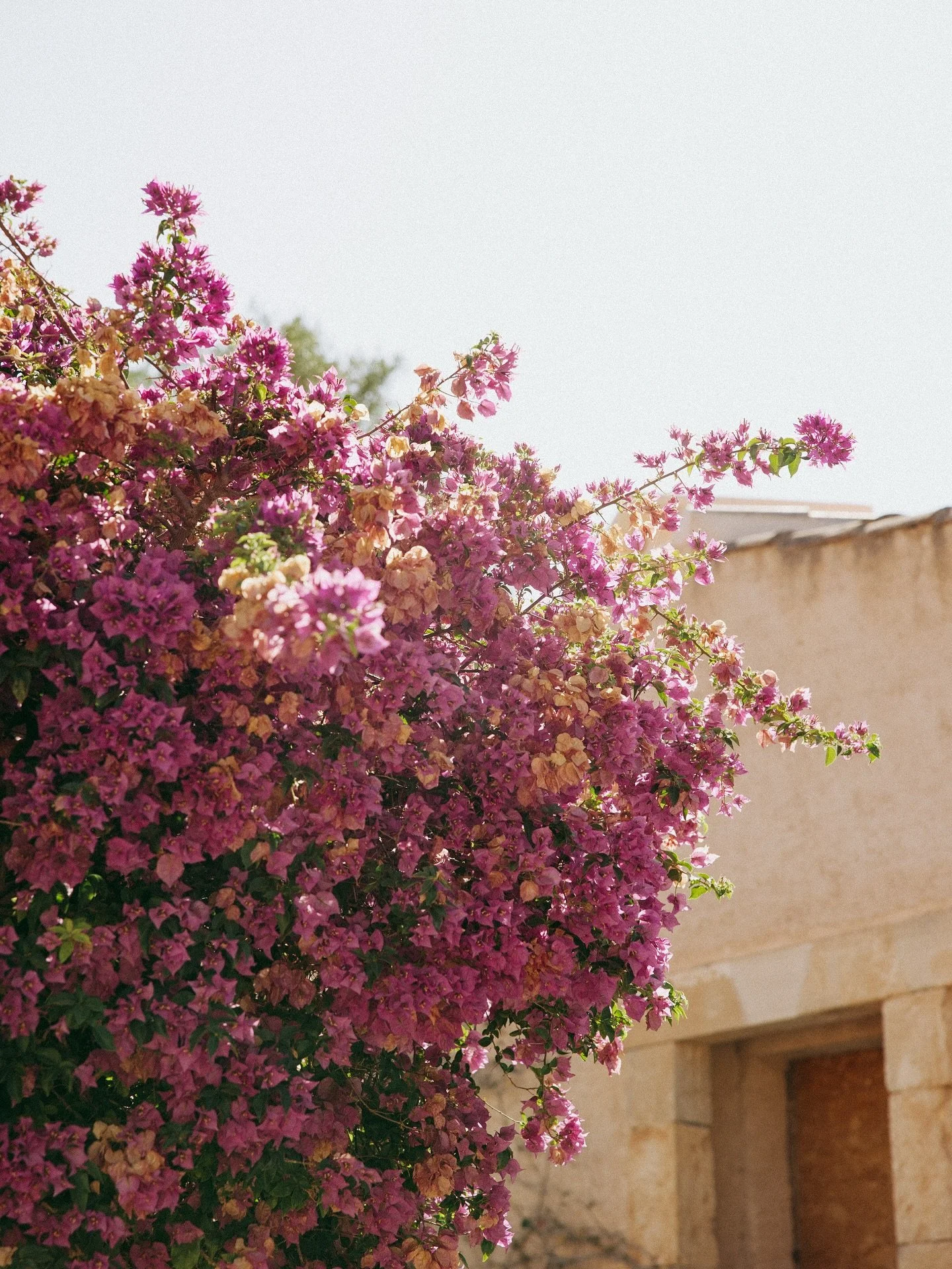 Fuera de servicio por vacaciones
&mdash;&mdash;&mdash;
Out of service for vacation
🌸☀️🌊