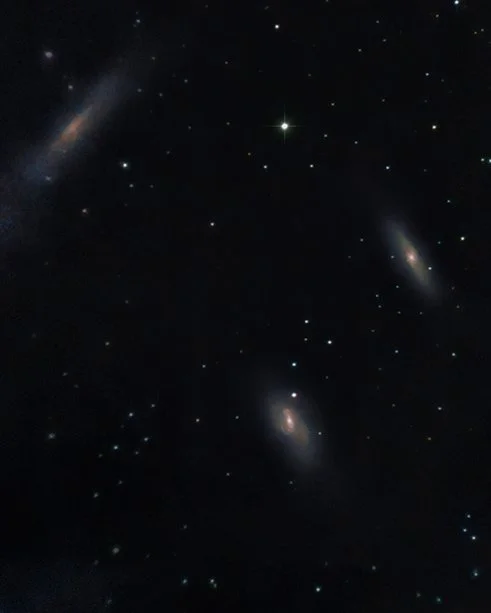 The Leo Trio NGC 3628