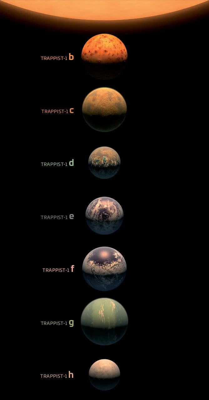 trappist_1_fev_2017 copy.jpg