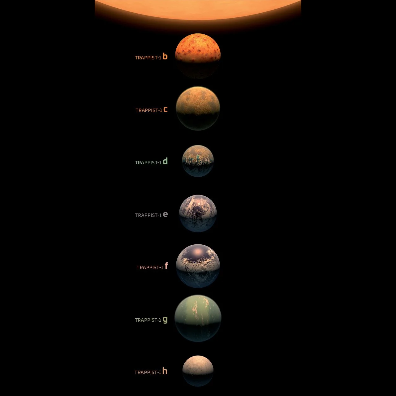 trappist_1_fev_2017 copy.jpg