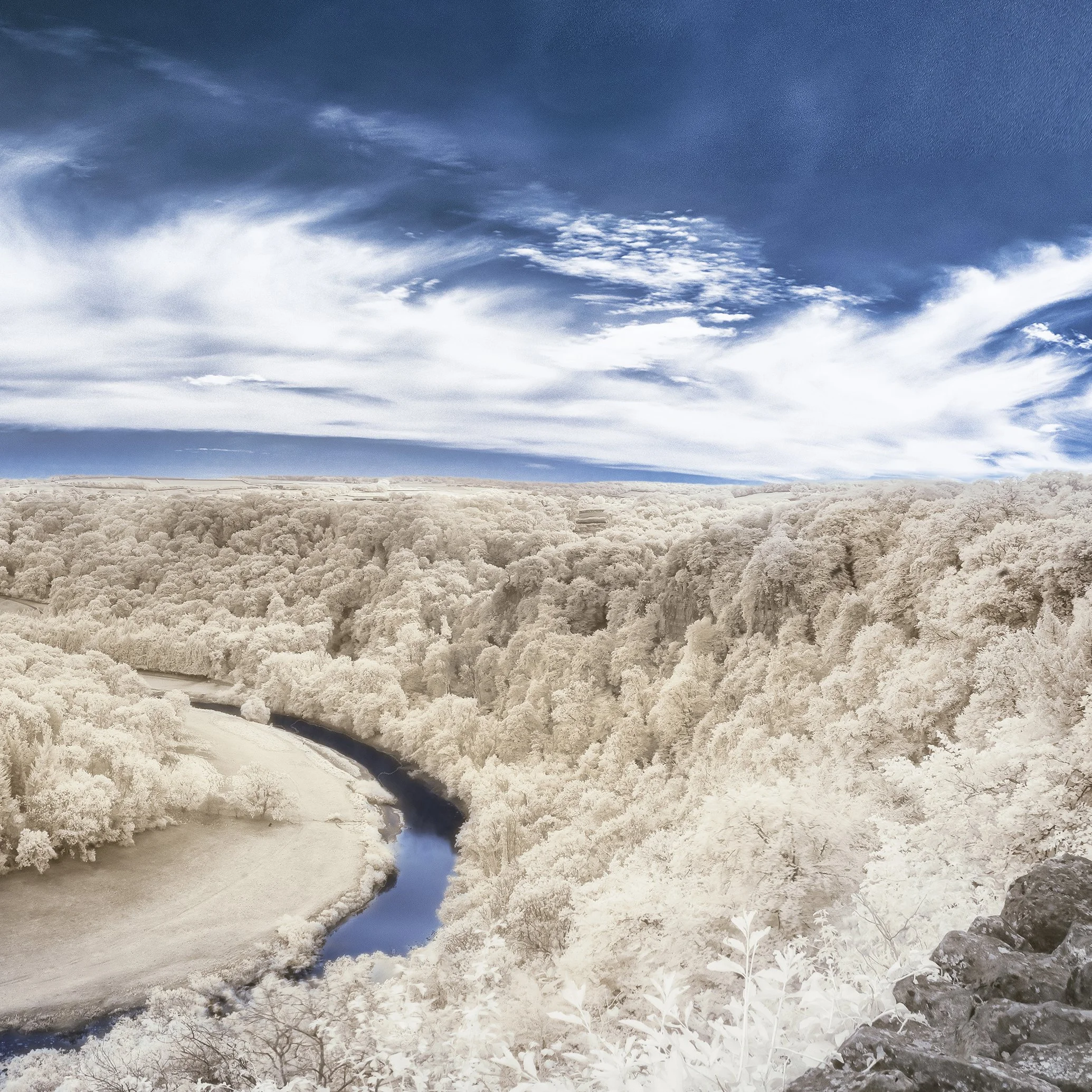 Symmonds Yat Panorama 3 piece right copy.jpg