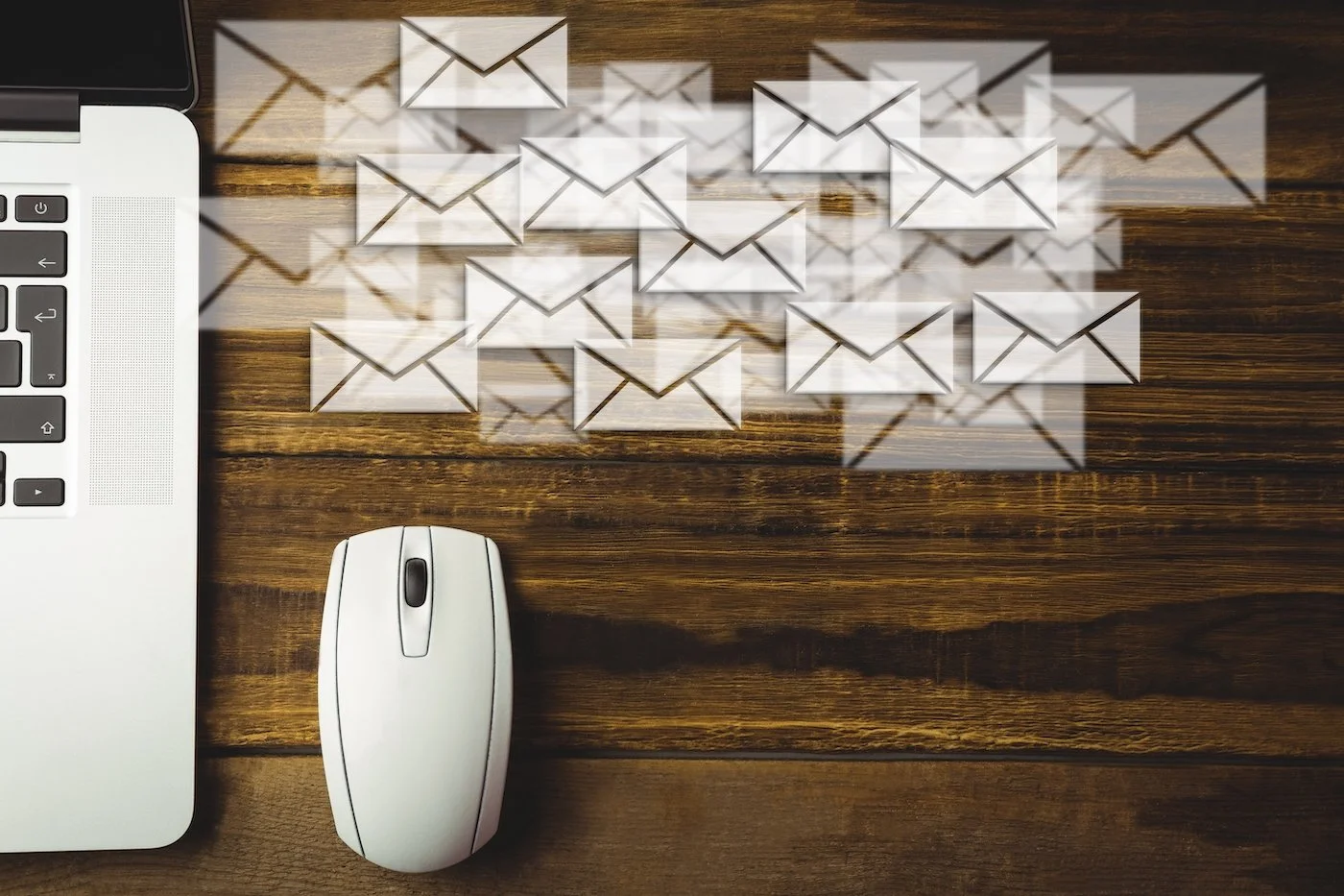 The Role of Email Marketing in Building a Fanbase