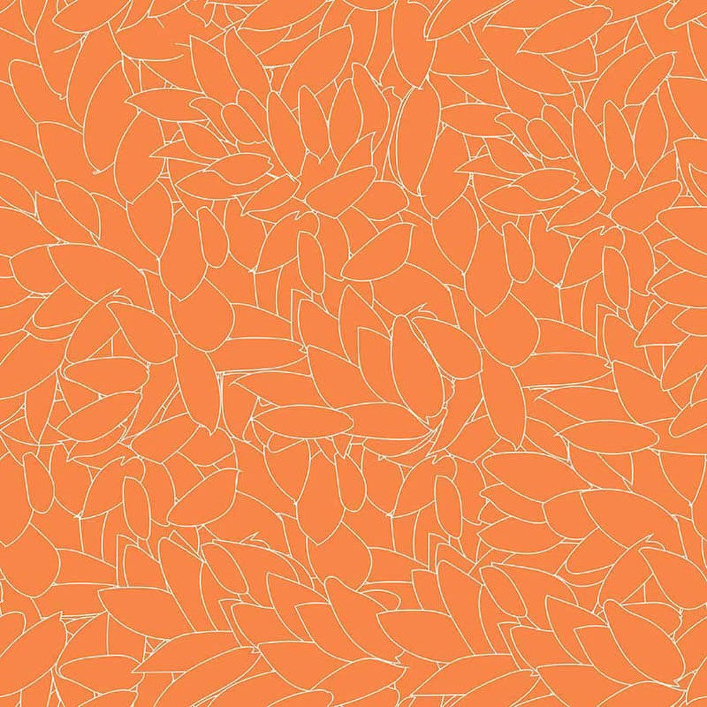 ct4610-10-cluster-orange_01.jpg