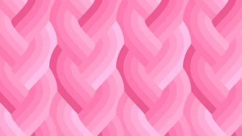 MODA Fabrics Echo Braid - Pink