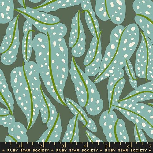 Ruby Star Society Calathea - Seaweed