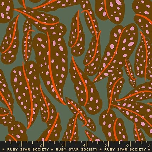 Ruby Star Society Calathea - Cocoa