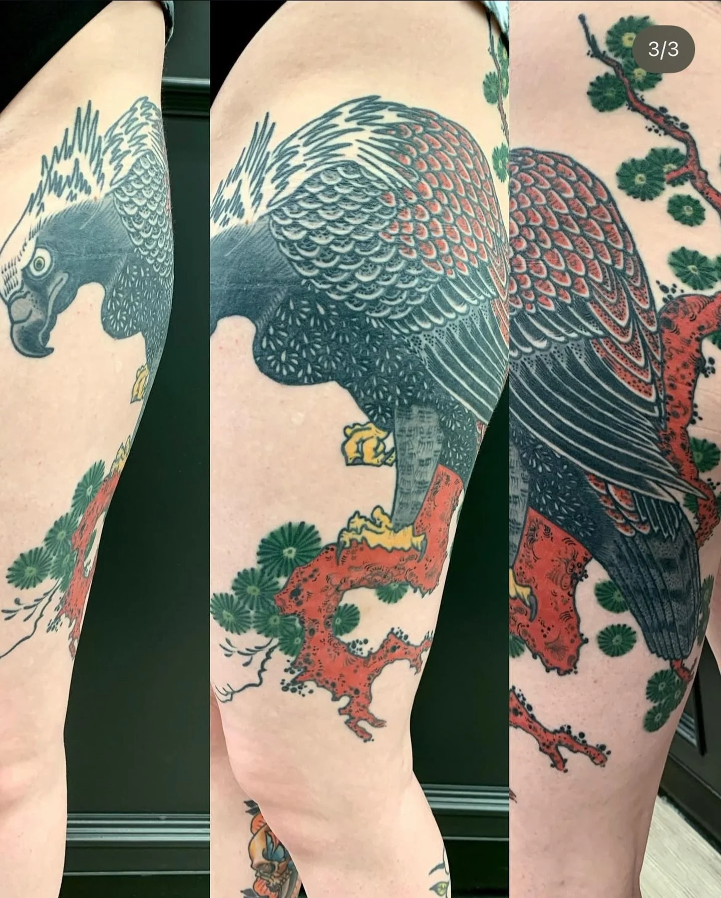 Drawn on eagle by @brianjouberttattoos To book with Brian, message him directly.

#tattoo #kelowna #kelownabc #kelownatattoo #okanagan #okanaganbc #okanagantattoo #okanagan #kelownaliving #okanaganlife #okanaganlifestyle #irezumi #japanesetattoo #ire