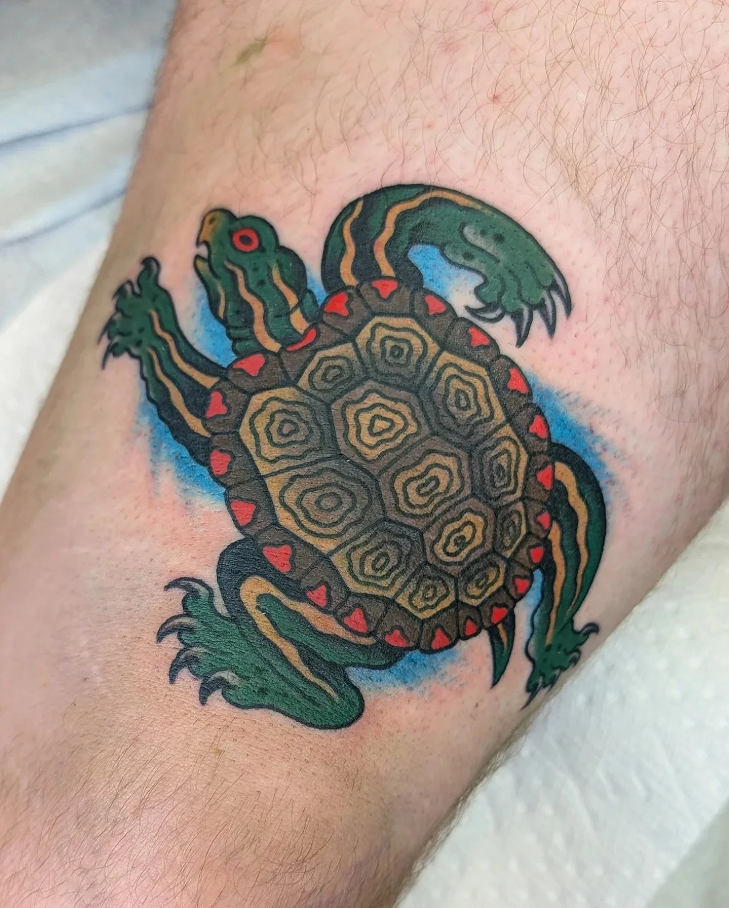 Painted turtle by @sir.fry To book with Tristen, message him directly.

#tattoo #kelowna #kelownabc #kelownatattoo #okanagan #okanaganbc #okanagantattoo #okanagan #kelownaliving #okanaganlife #okanaganlifestyle #kelownabusiness #traditionaltattoo #ca
