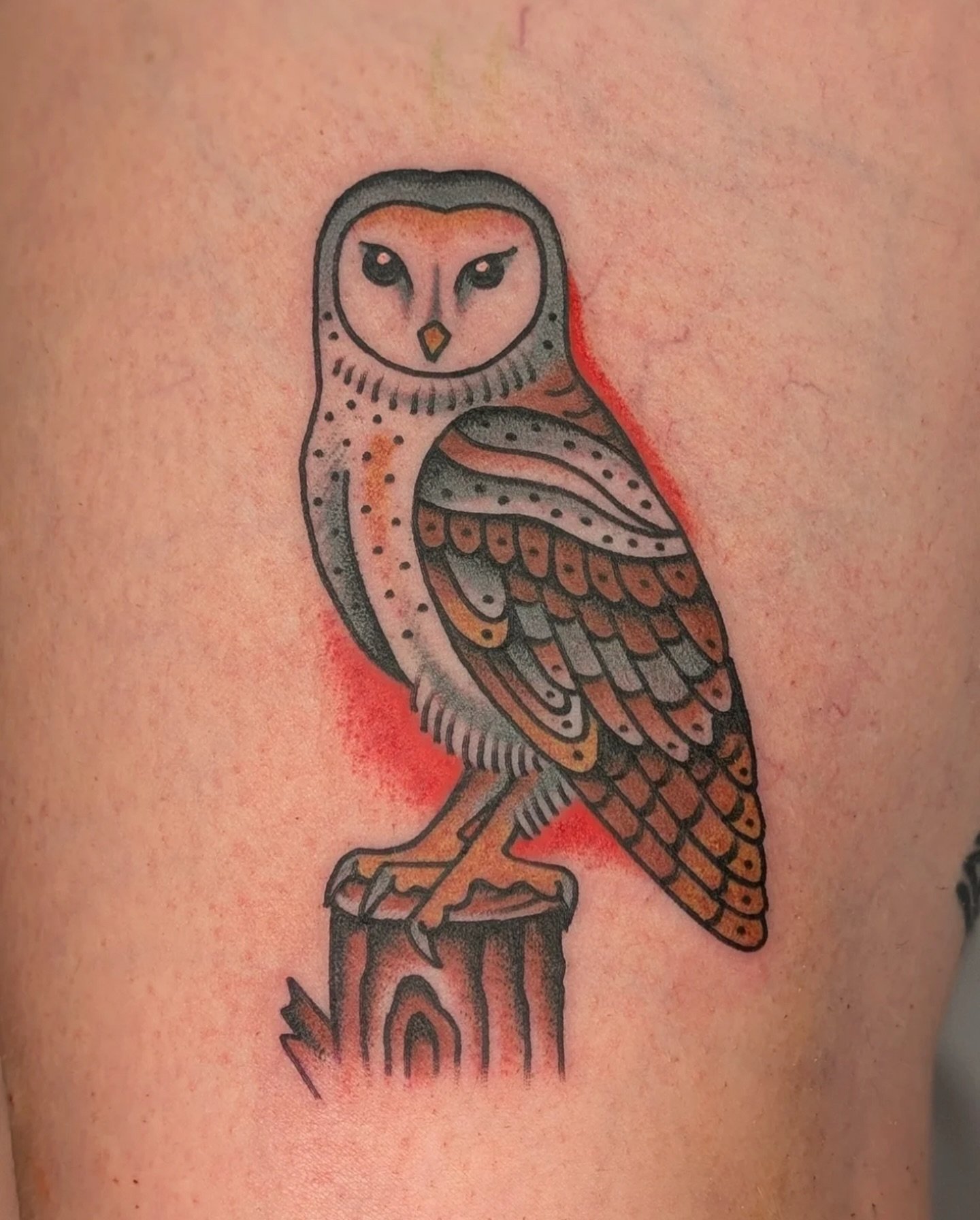 Owl by @sir.fry To book with Tristen, message him directly.

#kelowna #kelownatattoo #okanagantattoo #owltattoo