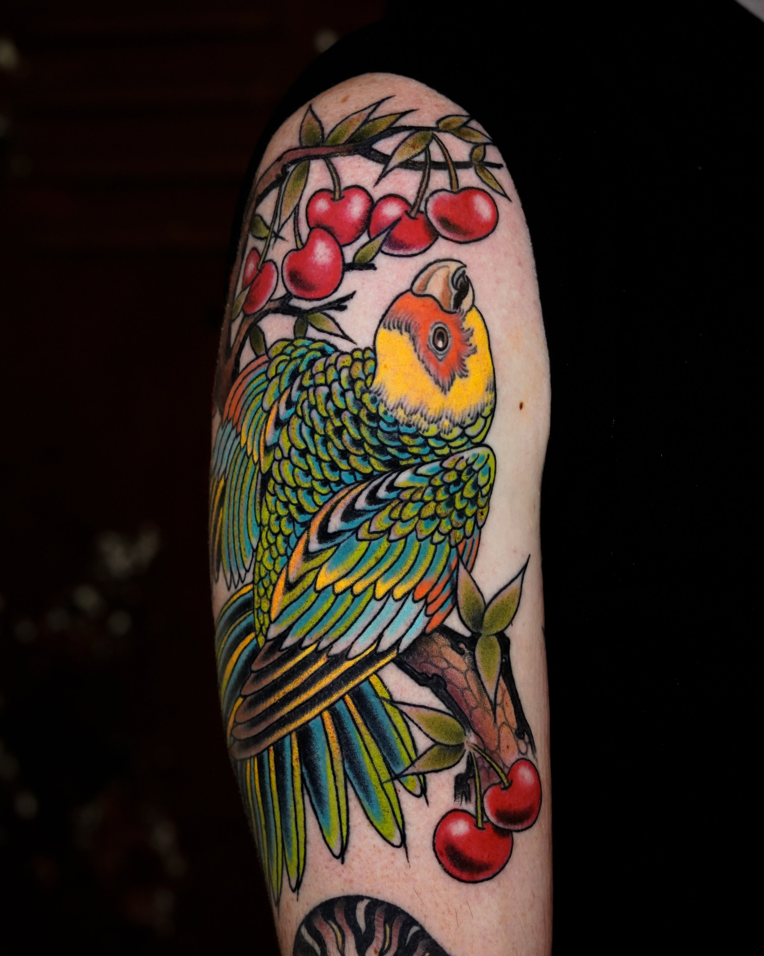 Parrot by @kylehoffarth To book with Kyle, message him directly.