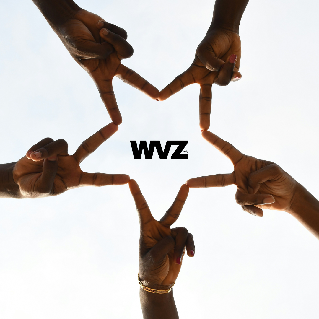 WVZlist: A Prideful Black Music Month