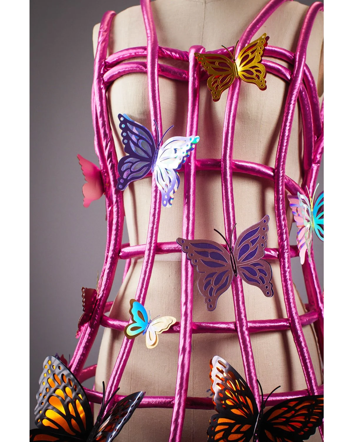 Rose_Trelllis_Torso_butterflies_Instagram.jpg