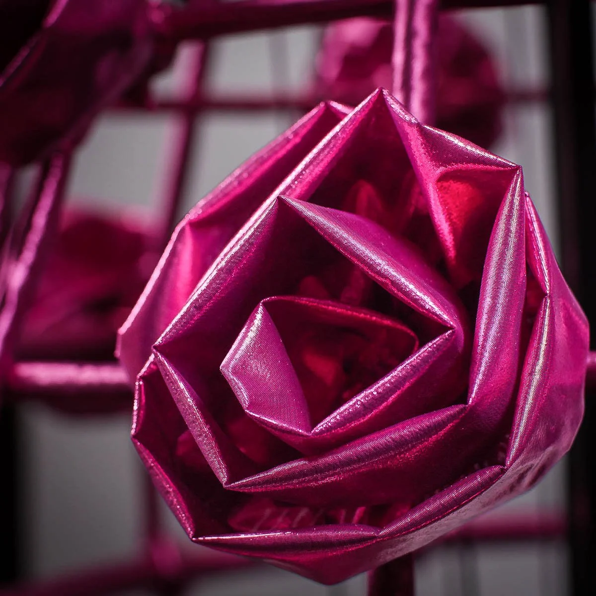 Rose_Trellis_Rose_Detail_web.jpg